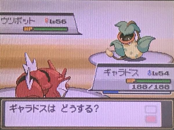 ポケモンhgss たこやきのポケモンブログ 楽天ブログ