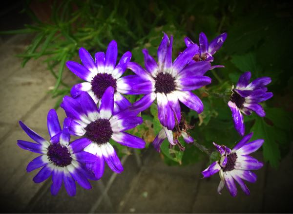 rblog-20160530192740-04.jpg