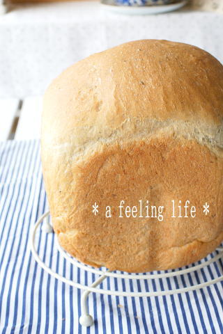 image282.jpg