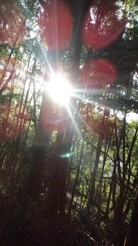 ML_rw_120312_165408.jpg