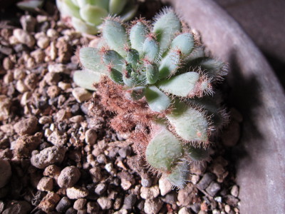 20120406c