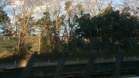 rblog-20141205174220-00.jpg