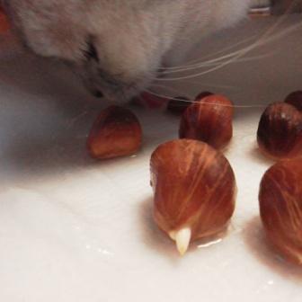 riru