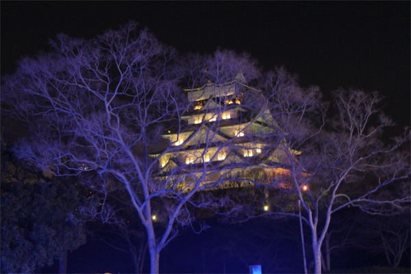 IMG_9460 3D.JPG