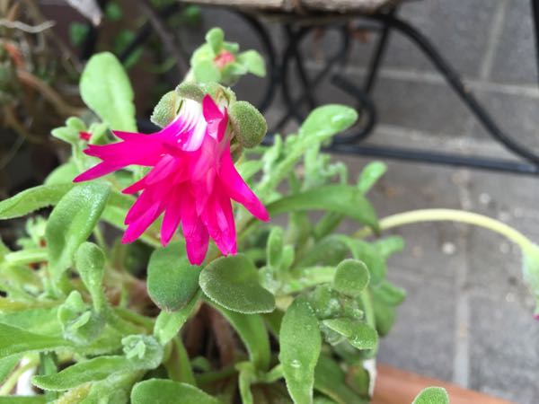 rblog-20160330183635-02.jpg