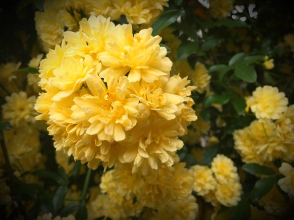 rblog-20160427175718-01.jpg