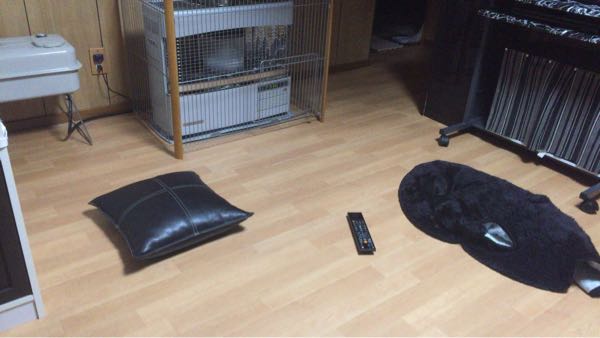 rblog-20170225061346-06.jpg