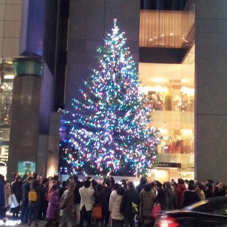 2014.12.11_hikari2.JPG