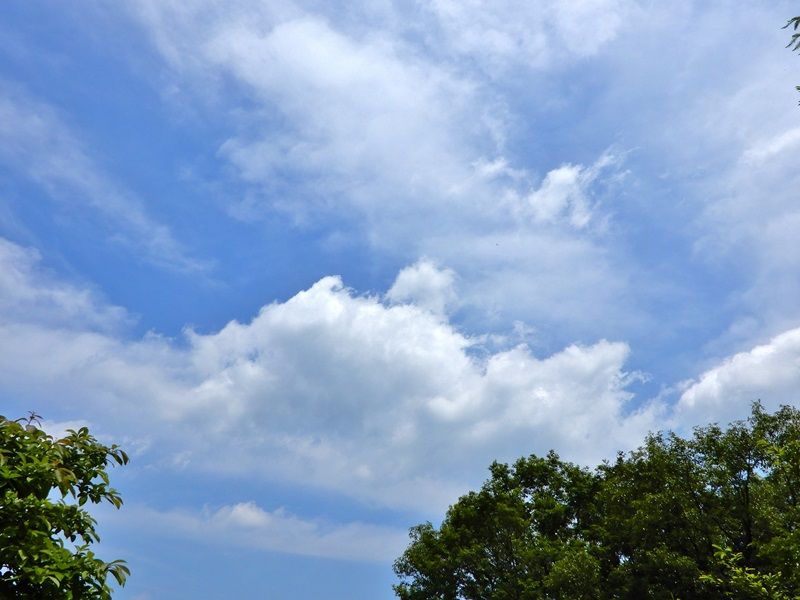 空2
