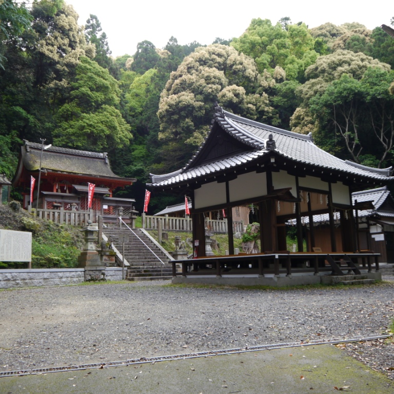 P1070446.JPG