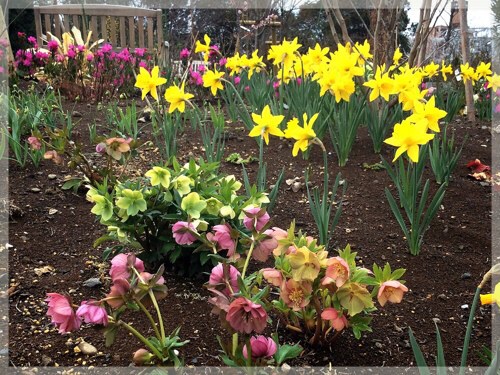 横浜イングリッシュガーデン