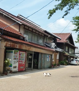 P1070154-ass.jpg
