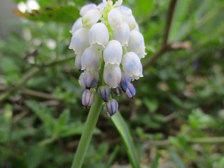 IMG_9612ss.jpg