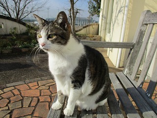 IMG_5453ss.jpg