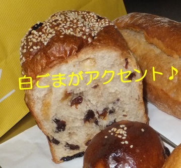 20121027_8.jpg
