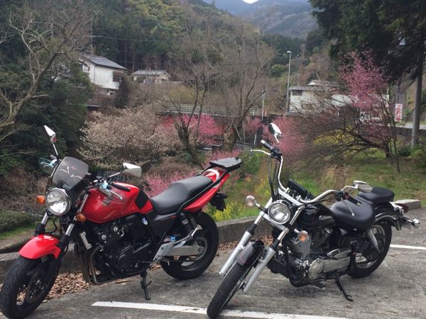rblog-20160318070048-05.jpg