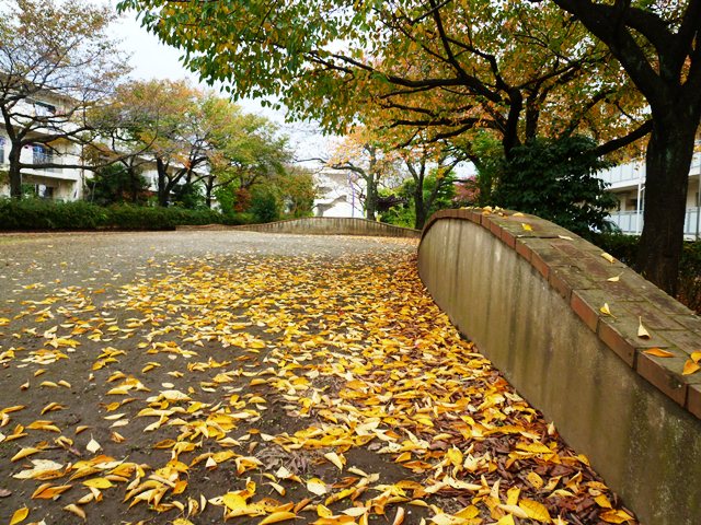 P1080356秋7.JPG
