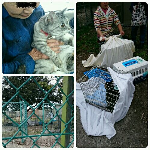 rblog-20151022071045-03.jpg