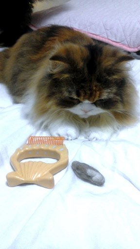 20140801005029.jpg
