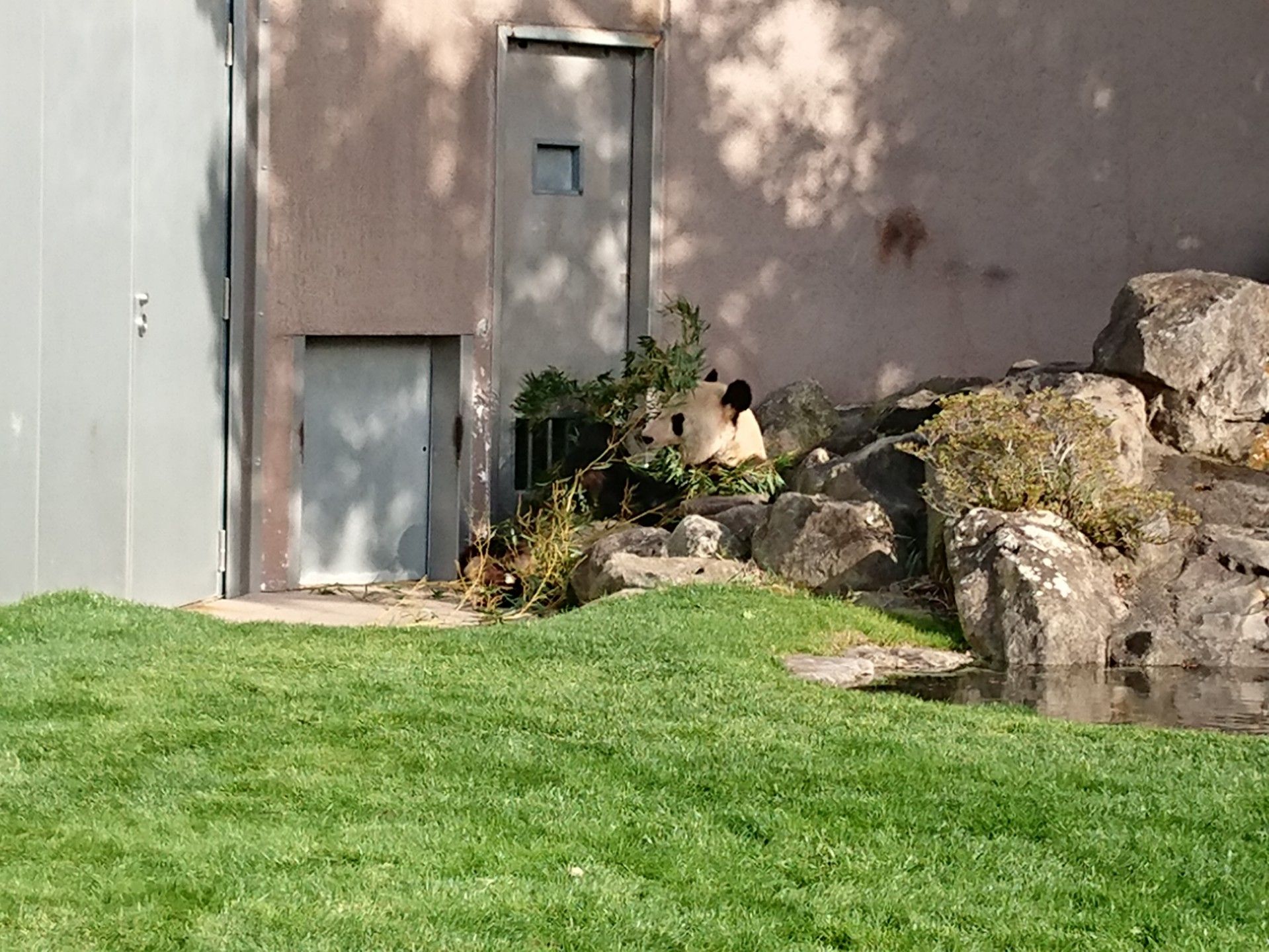 大晦日 アドベンチャーワールド 日帰り 2 Bomv Love Jp 楽天ブログ