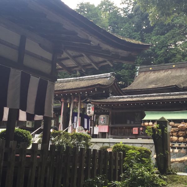 滋賀県 大野神社 嵐