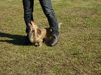 20121016150647[1].jpg