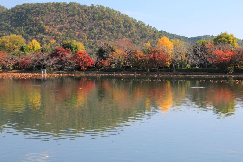 大沢池_002.jpg