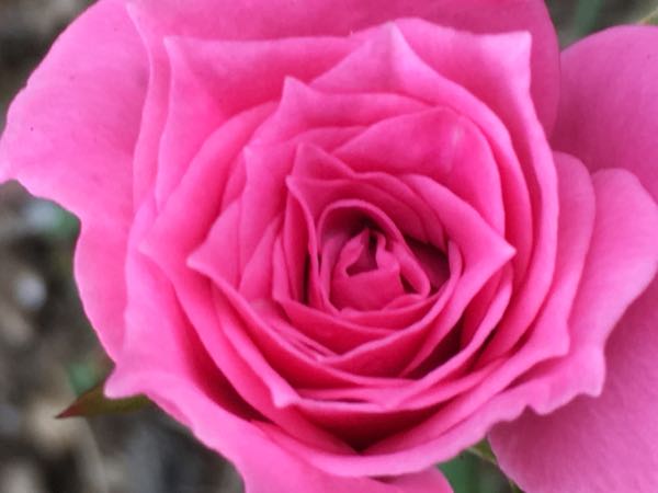 rblog-20171101151918-04.jpg