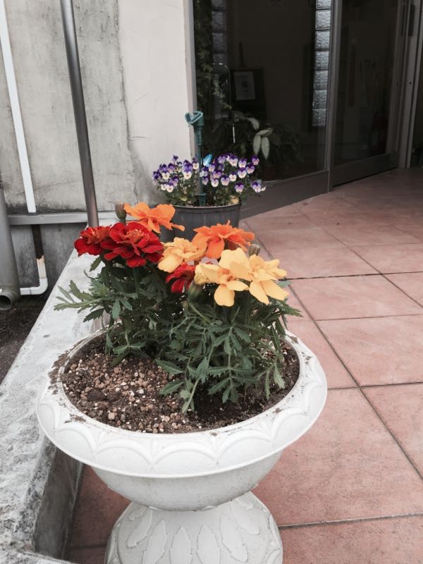 rblog-20150410234814-01.jpg