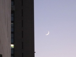IMG_9299_サイズ変更.JPG