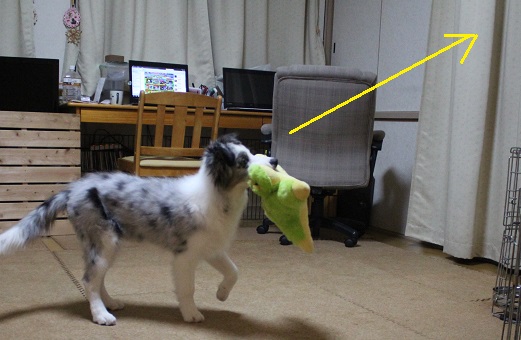 じっ