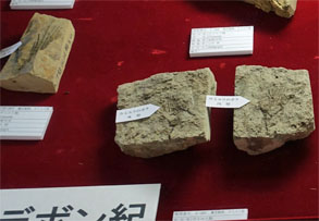 幽玄洞7.jpg