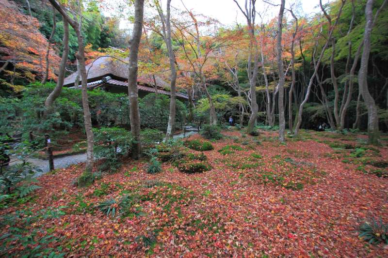 祇王寺_002.jpg