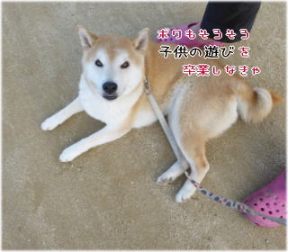 0430朝9.jpg
