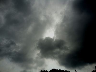DSC01386-000--.jpg
