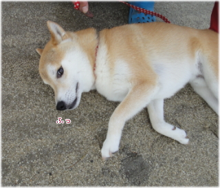 ken願い5.jpg