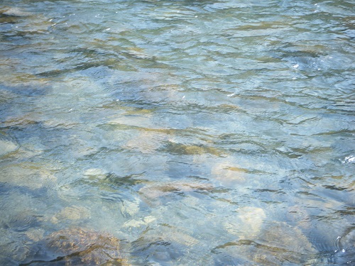 DSCF1662.JPG