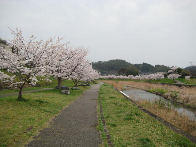 IMG_0436.JPG