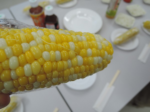 遺伝子組み換え　スイートコーン.JPG