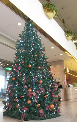 IMG_5752.jpg
