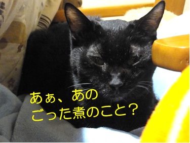 20121112_3.jpg