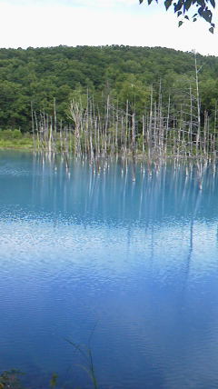 2013072515040000.jpg