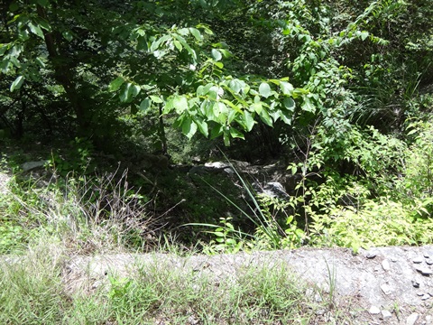 DSC06174.JPG