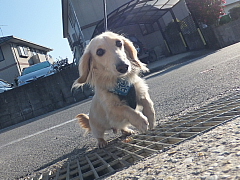conv0018.JPG