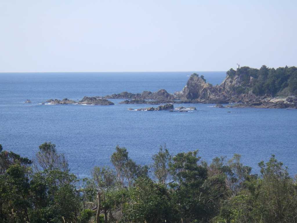 串本磯採集2019年3月上旬16　海
