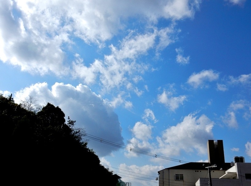 空 2.JPG