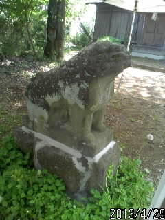 頼政神社の狛犬さま４