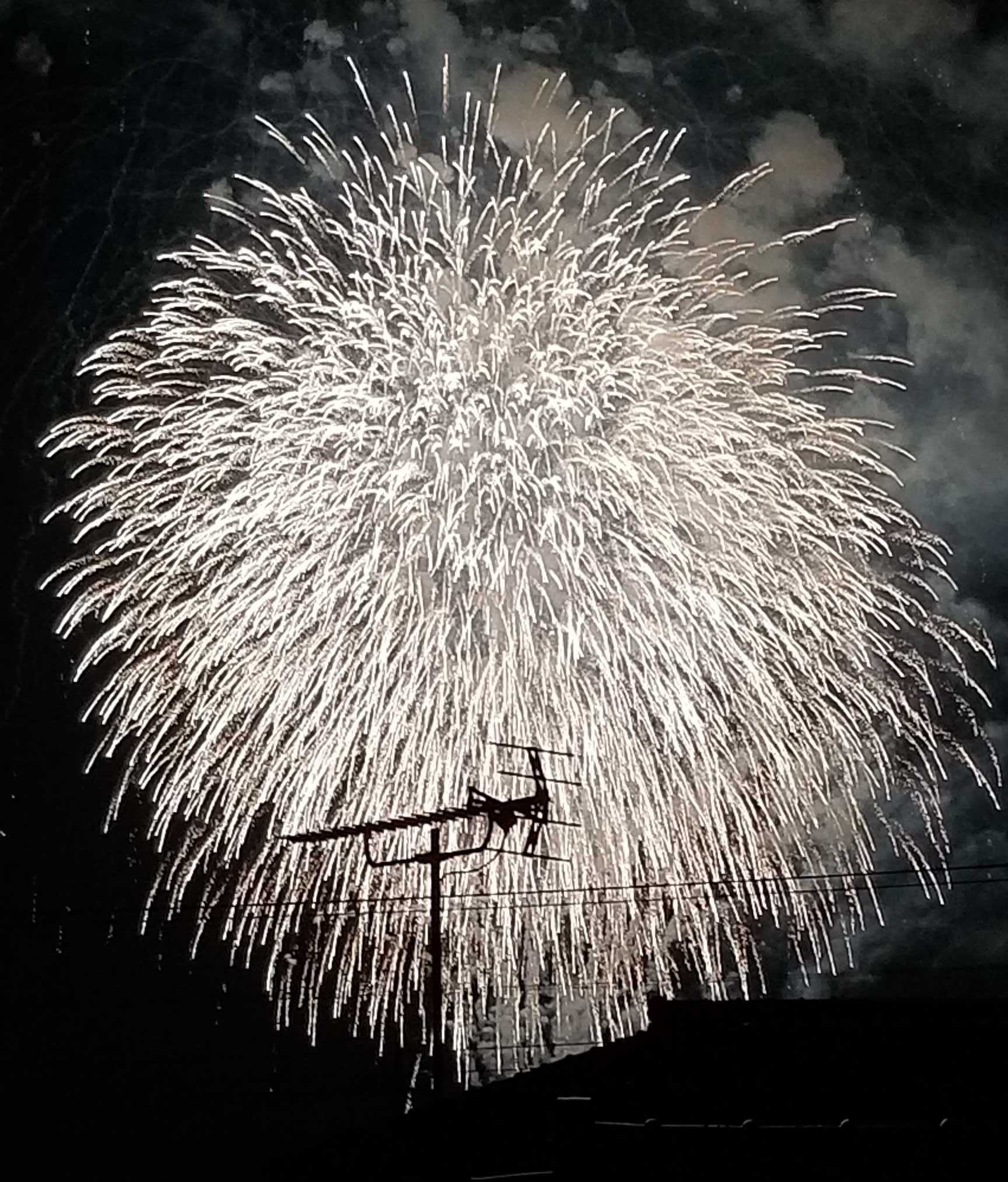 モーリス 雪月風花 夏花火165