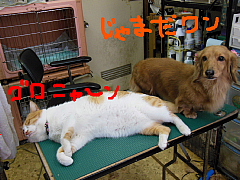conv0589.JPG