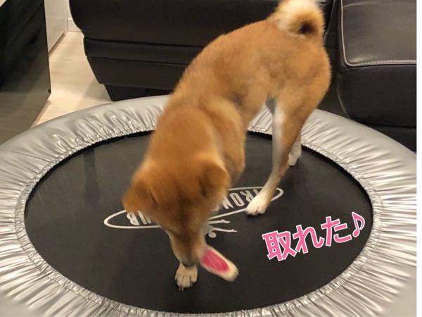 rblog-20180131120007-05.jpg